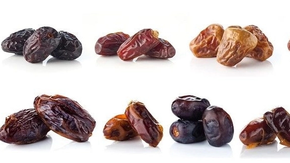 معرفی انواع خرما
