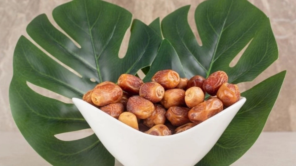 معرفی انواع خرما