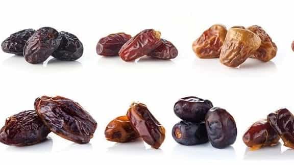 معرفی انواع خرما